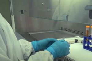 Biosafety Cabinet Best Practices WHO Video