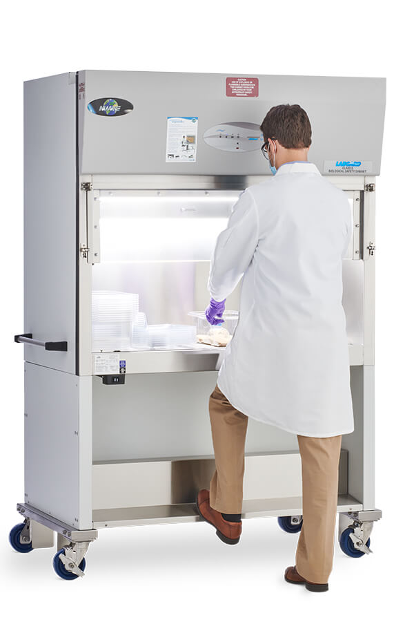Lab animal tech cage changing in a LabGard NU-640 Class II, Type A2 Animal Handling Biosafety Cabinet