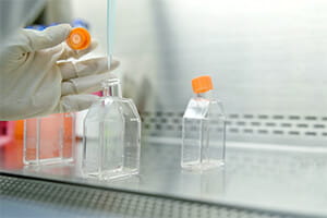 Tissue Culture Lab Equipment