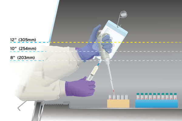 Choose from 3 access opening heights on a NU-543 Biosafety Cabinet.