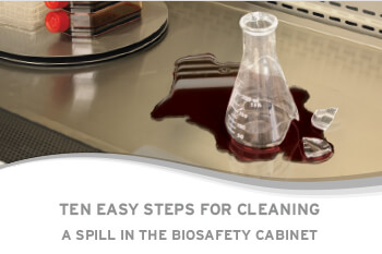 10 Steps to Cleaning a Spill in a Biosafety Cabinet