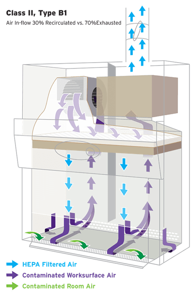 Class II, Type B1 biosafety cabinet airflow drawing