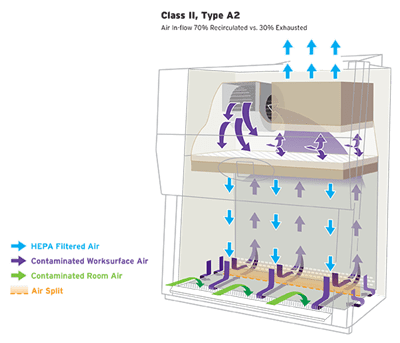 Class 2 biosafety cabinet airflow pattern.
