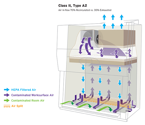 Class II, Type A2 biosafety cabinet airflow drawing