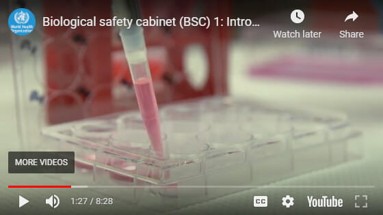 Biosafety Cabinet Introduction Article