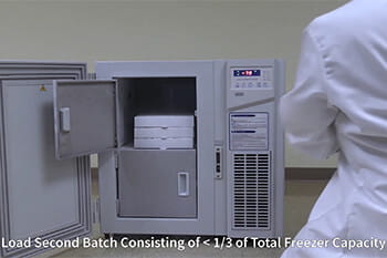 Batch loading the NU-99100J Ultralow Freezer
