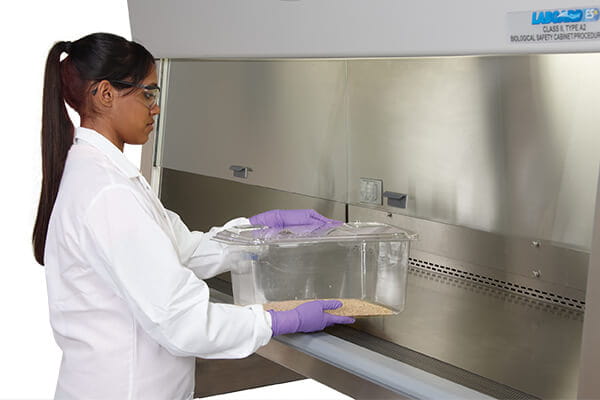 LabGard NU-677 Animal Handling Class II, Type A2 Biosafety Cabinet features a large NSF/ANSI 49 listed 12-inch (305mm) access opening.