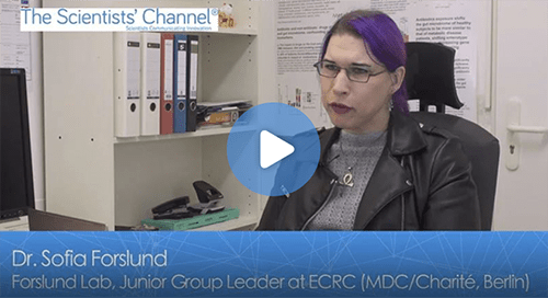 Relationship Between the Human Microbiome and Common Cardiovascular Diseases Video