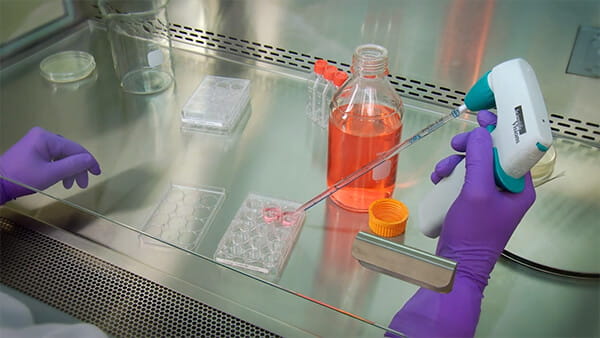 Working in your biosafety cabinet video
