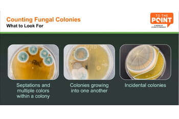 Best Sampling Practices for Sampling and Reading Media