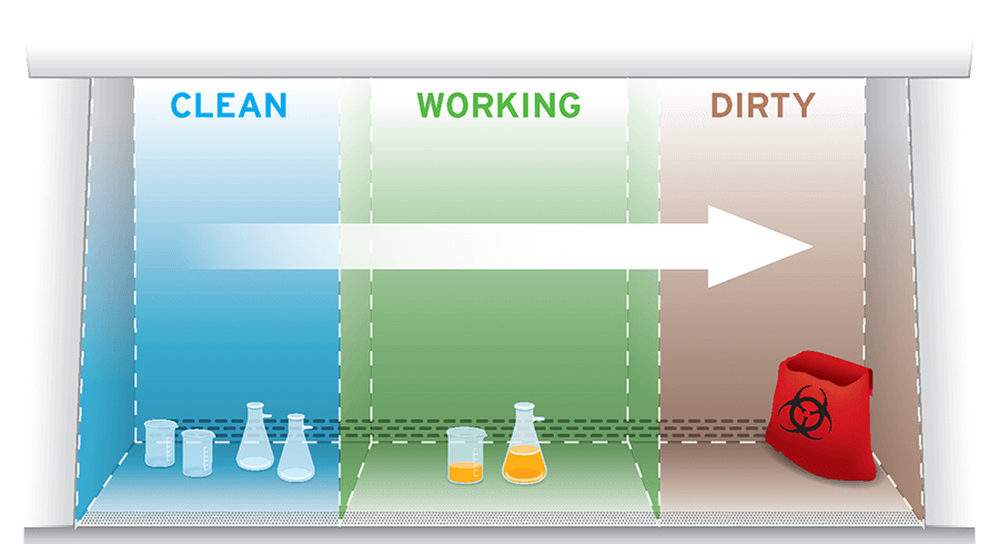 Biosafety Cabinet Work Zone Setup For