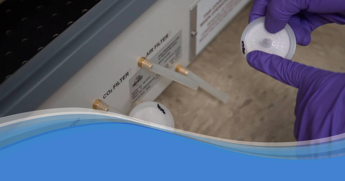 CO2 Incubator Changing the Disk Filters NuAire