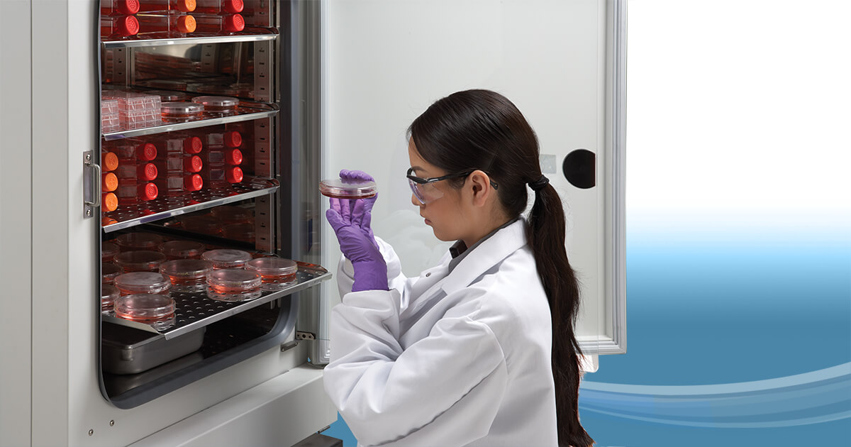 CO2 Incubators Cell Culture & Microbiological Lab Equipment