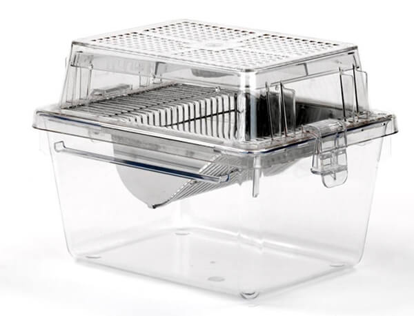 Microisolator cages create a protective barrier at the cage-level.