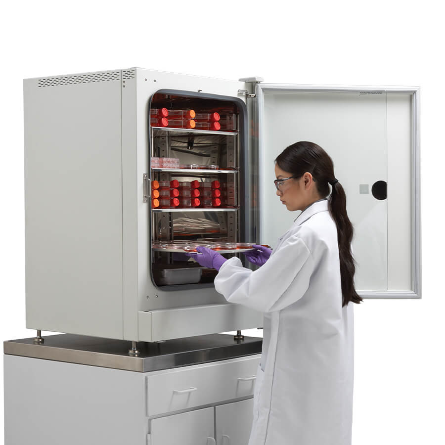 Lab technician viewing tissue culture samples in a In-VitroCell NU-5810 CO2 incubator