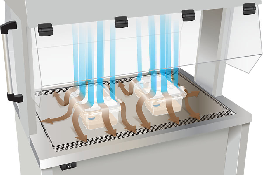 Animal Transfer Station Laminar Airflow Product Sterility