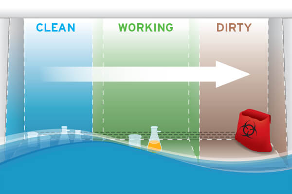 Setting up a class II biosafety cabinet work zone for biomedical/microbiological work