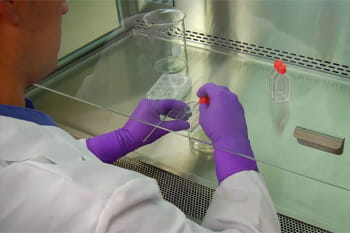 Understanding the Biosafety Cabinet