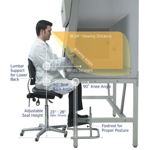 Model conveying proper ergonomic posture while working in a NuAire Biosafety Cabinet.