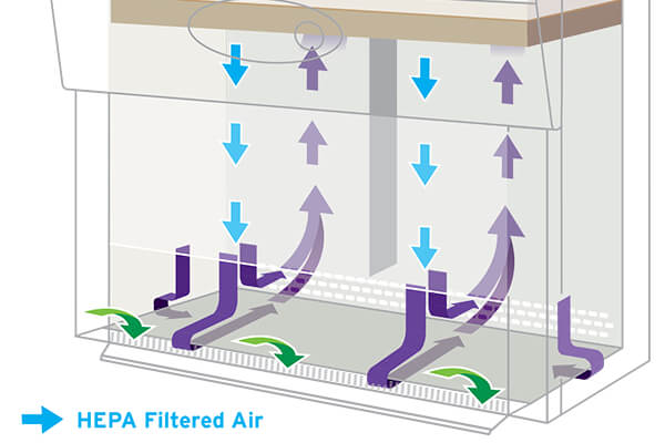 How a Class II, Type B1 Biosafety Cabinet Works